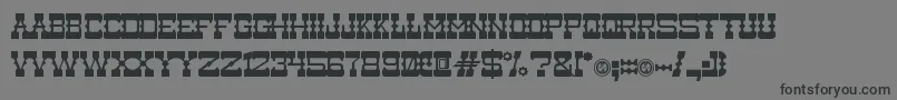 Medium Rare Font – Black Fonts on Gray Background