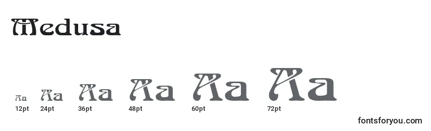 Размеры шрифта Medusa (133955)