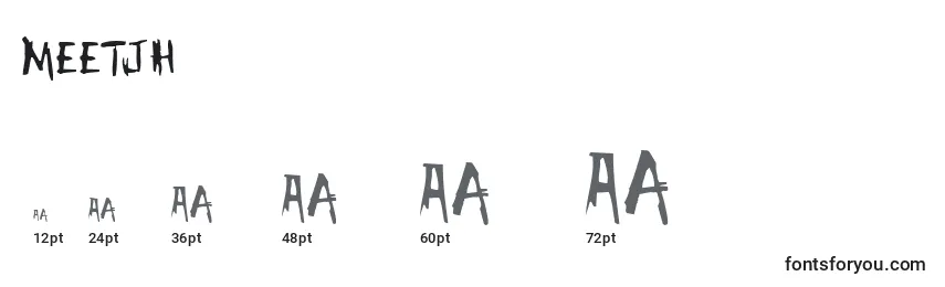 MEETJH   (133958) Font Sizes