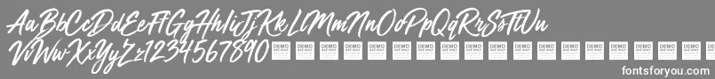 Mega Fresh   Demo-Schriftart – Weiße Schriften auf grauem Hintergrund