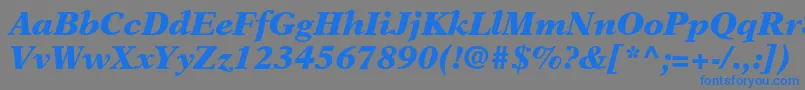 NewasterltstdBlackit Font – Blue Fonts on Gray Background