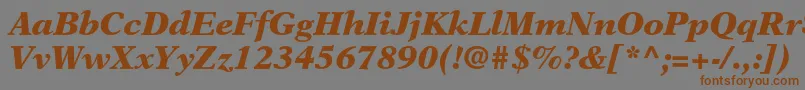 フォントNewasterltstdBlackit – 茶色の文字が灰色の背景にあります。