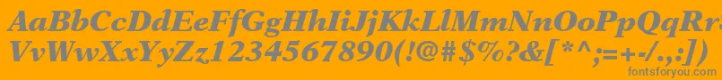 NewasterltstdBlackit Font – Gray Fonts on Orange Background