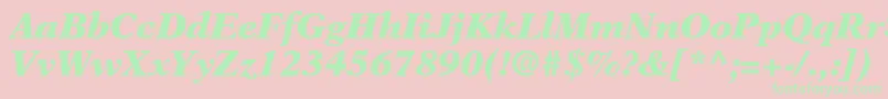 NewasterltstdBlackit Font – Green Fonts on Pink Background