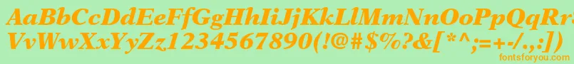 NewasterltstdBlackit Font – Orange Fonts on Green Background