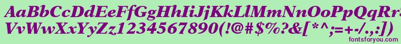 NewasterltstdBlackit Font – Purple Fonts on Green Background