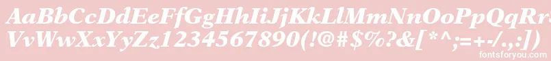 NewasterltstdBlackit Font – White Fonts on Pink Background