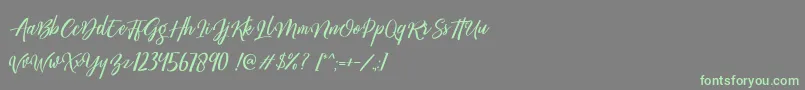 Megattor DEMO-Schriftart – Grüne Schriften auf grauem Hintergrund