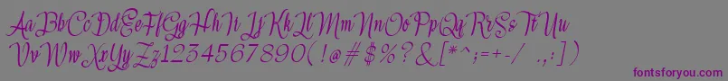 Шрифт Meikayla – фиолетовые шрифты на сером фоне