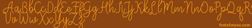 Meisha Font – Orange Fonts on Brown Background