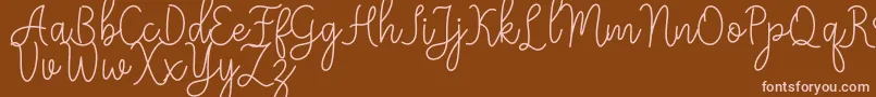 Meisha Font – Pink Fonts on Brown Background