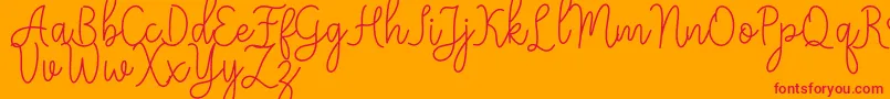 fuente Meisha – Fuentes Rojas Sobre Fondo Naranja