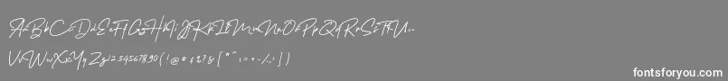 MelanicBlackScript Regular Font – White Fonts on Gray Background