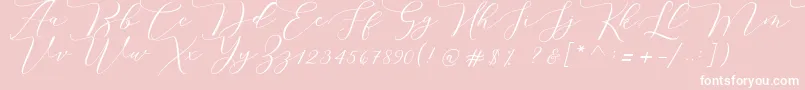 Melinda script Font – White Fonts on Pink Background