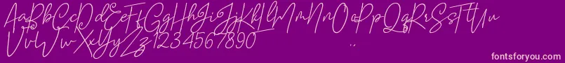 Mellati Font – Pink Fonts on Purple Background