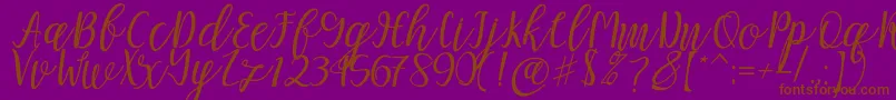 Mellitta script Font – Brown Fonts on Purple Background