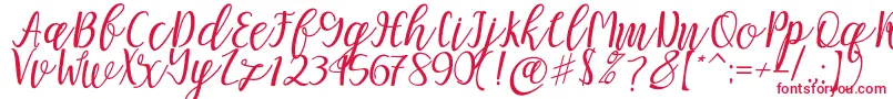 Mellitta script Font – Red Fonts on White Background
