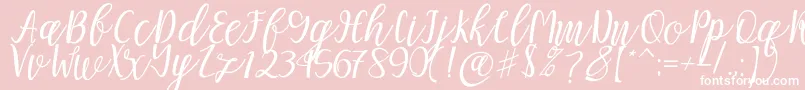 Mellitta script Font – White Fonts on Pink Background