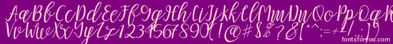 Mellitta script Font – Pink Fonts on Purple Background