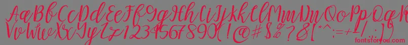 Mellitta script Font – Red Fonts on Gray Background