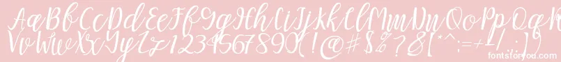 Mellitta script-Schriftart – Weiße Schriften auf rosa Hintergrund