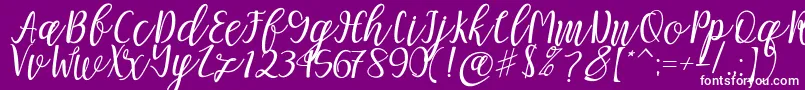 Mellitta script-fontti – valkoiset fontit violetilla taustalla