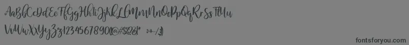 MellonerRegular Font – Black Fonts on Gray Background