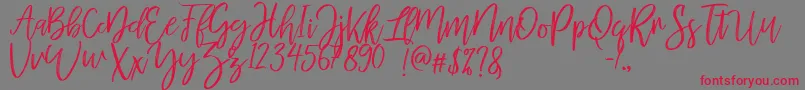 mellony dry brush Font – Red Fonts on Gray Background