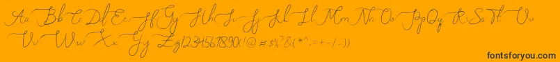 Melly Eret Font – Black Fonts on Orange Background