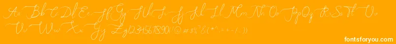 Melly Eret-Schriftart – Weiße Schriften auf orangefarbenem Hintergrund