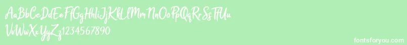 Melodya Chatrina Font – White Fonts on Green Background