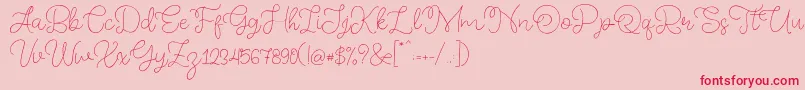 Memory of 2018 Font – Red Fonts on Pink Background