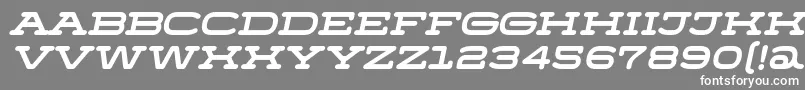 Menscho Italic-Schriftart – Weiße Schriften auf grauem Hintergrund