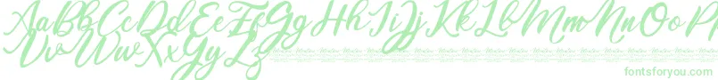 Mentari Font – Green Fonts on White Background