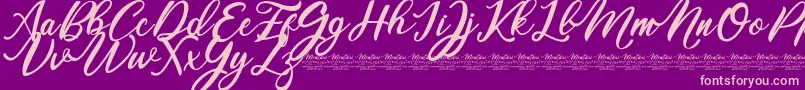 Mentari Font – Pink Fonts on Purple Background
