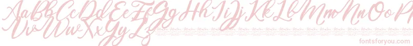 Mentari Font – Pink Fonts on White Background