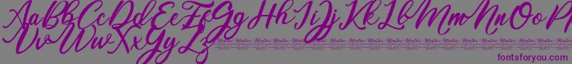 Mentari-Schriftart – Violette Schriften auf grauem Hintergrund