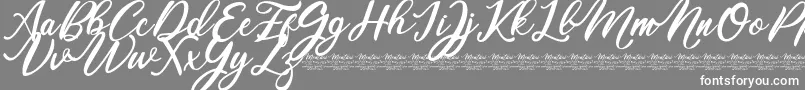 Mentari Font – White Fonts on Gray Background