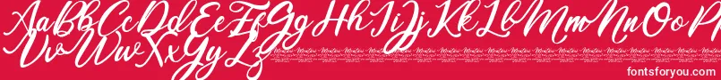Mentari Font – White Fonts on Red Background