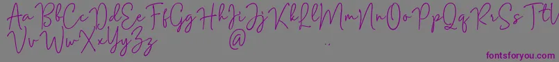 Mention Signature-Schriftart – Violette Schriften auf grauem Hintergrund