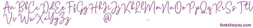 Mention Signature Font – Purple Fonts on White Background