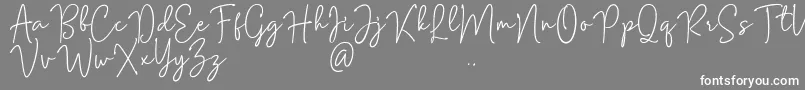 Fonte Mention Signature – fontes brancas em um fundo cinza