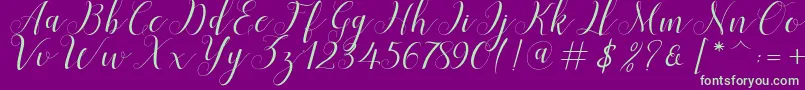 Menttion Script Font – Green Fonts on Purple Background