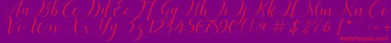 Menttion Script Font – Red Fonts on Purple Background