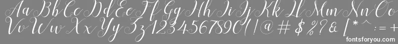 fuente Menttion Script – Fuentes Blancas Sobre Fondo Gris