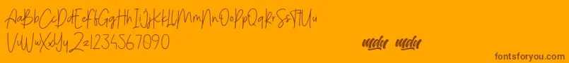 Menulist Beauty   PERSONAL USE Font – Brown Fonts on Orange Background