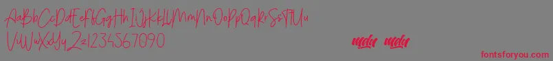Menulist Beauty   PERSONAL USE Font – Red Fonts on Gray Background