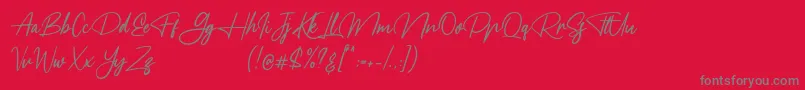 フォントMeranie – 赤い背景に灰色の文字
