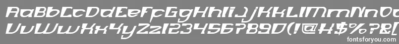 フォントMERCURY Italic – 灰色の背景に白い文字