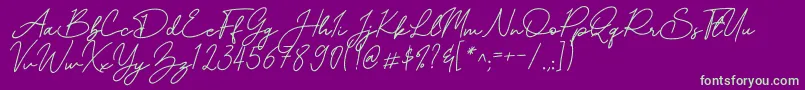 fuente Mereoleona Script – Fuentes Verdes Sobre Fondo Morado